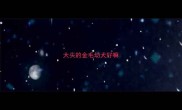 大头的金毛幼犬好嘛