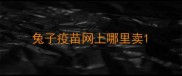 兔子疫苗网上哪里卖