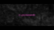 什么是边牧的尴尬期