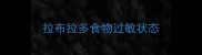 拉布拉多食物过敏状态