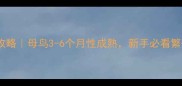 玄凤鹦鹉繁殖全攻略母鸟3-6个月性成熟新手必看繁殖期养护指南