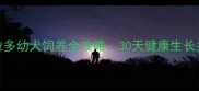 新手必看拉布拉多幼犬饲养全攻略30天健康生长关键期与营养指南