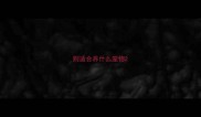 则适合养什么宠物