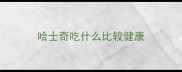 哈士奇吃什么比较健康