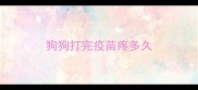 狗狗打完疫苗疼多久
