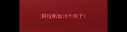 阿拉斯加10个月了
