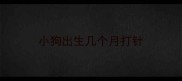 小狗出生几个月打针