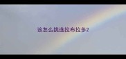 该怎么挑选拉布拉多