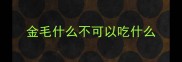 金毛什么不可以吃什么