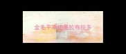 金毛干净还是拉布拉多