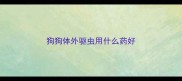 狗狗体外驱虫用什么药好