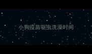小狗疫苗驱虫洗澡时间