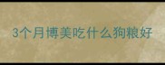 3个月博美吃什么狗粮好