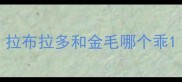 拉布拉多和金毛哪个乖