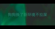 狗狗换了新环境不拉屎