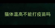 猫体温高不能打疫苗吗
