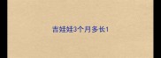 吉娃娃3个月多长
