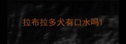 拉布拉多犬有口水吗
