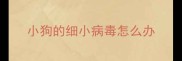 小狗的细小病毒怎么办