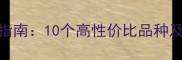 最新宠物狗推荐指南10个高性价比品种及科学饲养全攻略