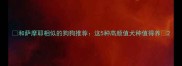 和萨摩耶相似的狗狗推荐这5种高颜值犬种值得养