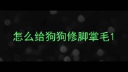 怎么给狗狗修脚掌毛