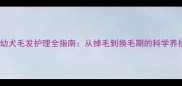 哈士奇幼犬毛发护理全指南从掉毛到换毛期的科学养护方法