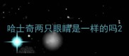 哈士奇两只眼睛是一样的吗
