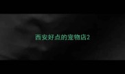 西安好点的宠物店