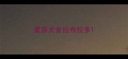 星原犬舍拉布拉多