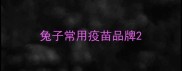 兔子常用疫苗品牌