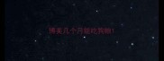 博美几个月能吃狗粮