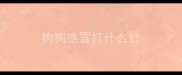 狗狗感冒打什么针