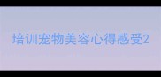 培训宠物美容心得感受
