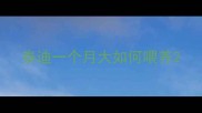 泰迪一个月大如何喂养