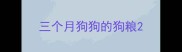 三个月狗狗的狗粮