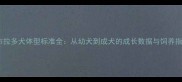 拉布拉多犬体型标准全从幼犬到成犬的成长数据与饲养指南
