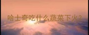 哈士奇吃什么蔬菜下火
