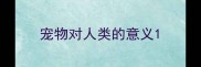 宠物对人类的意义