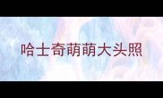 哈士奇萌萌大头照