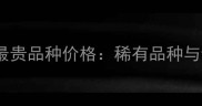 宠物螳螂最贵品种价格稀有品种与饲养指南