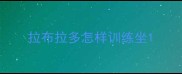 拉布拉多怎样训练坐
