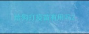 给狗打疫苗有用吗