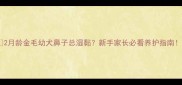 2月龄金毛幼犬鼻子总湿黏新手家长必看养护指南
