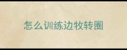 怎么训练边牧转圈