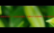 狗绝育最佳时间3-6月龄科学建议健康与行为双保障附详细操作指南