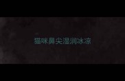 猫咪鼻尖湿润冰凉