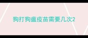 狗打狗瘟疫苗需要几次
