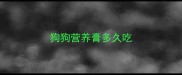 狗狗营养膏多久吃