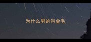 为什么男的叫金毛